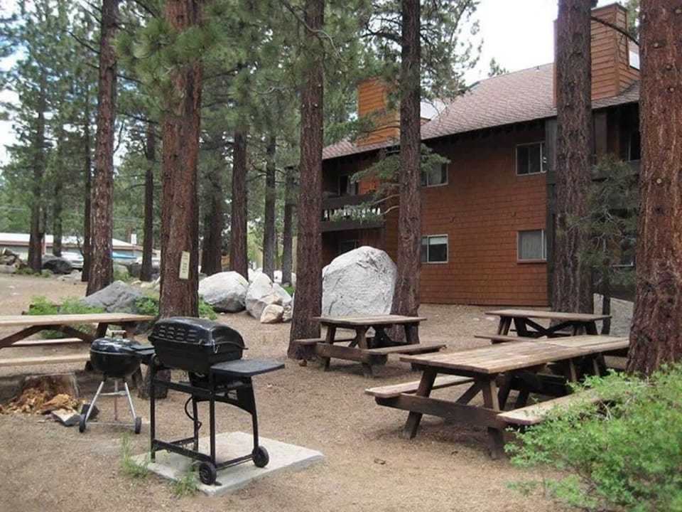 Complex BBQ & picnic area