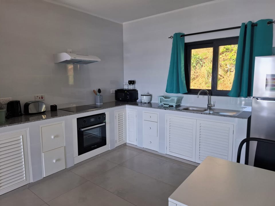 Apartment, Sea View | Private kitchen | Full-size fridge, microwave, oven, electric kettle