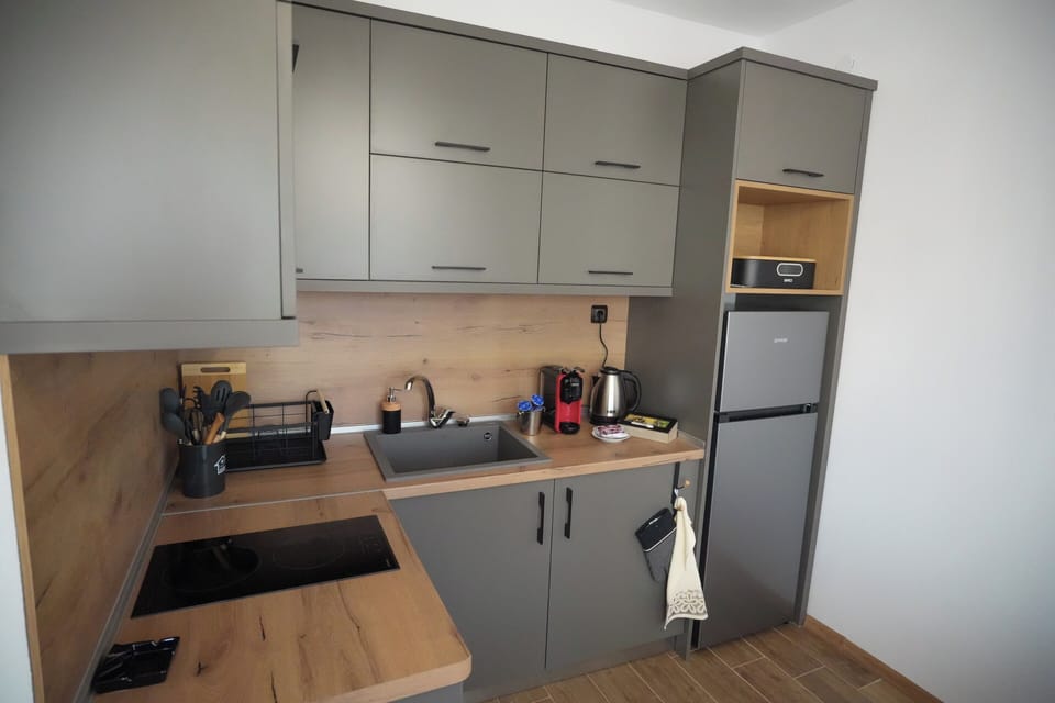Apartment | Private kitchen | Fridge, microwave, oven, stovetop