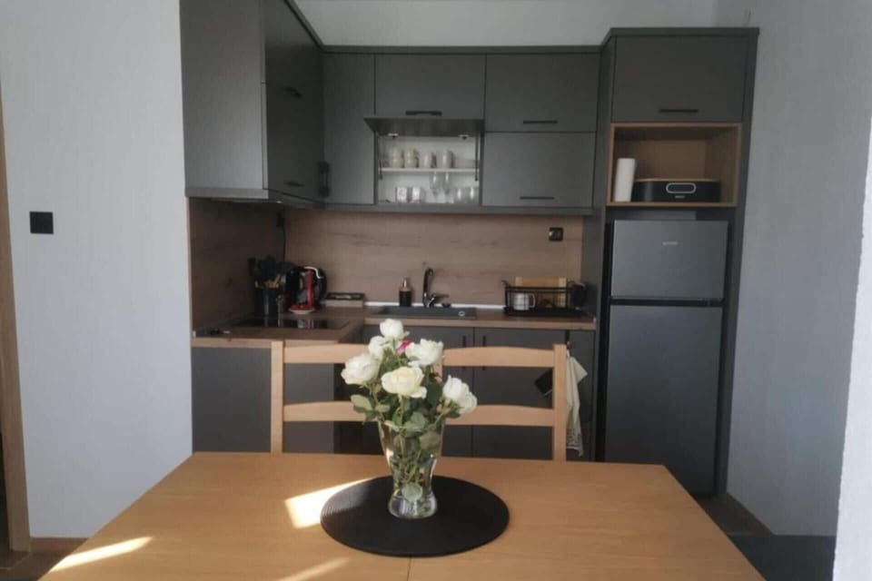 Apartment | Private kitchen | Fridge, microwave, oven, stovetop