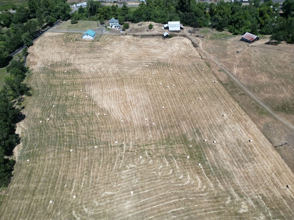 20 acre hay field next to the house