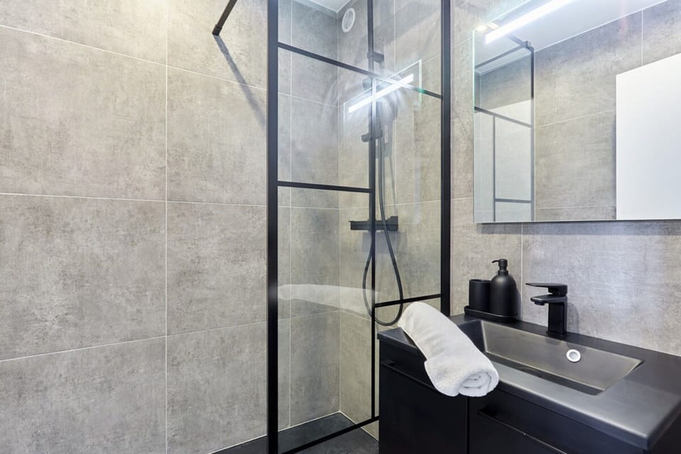 Apartment | Bathroom | Hair dryer, soap, shampoo