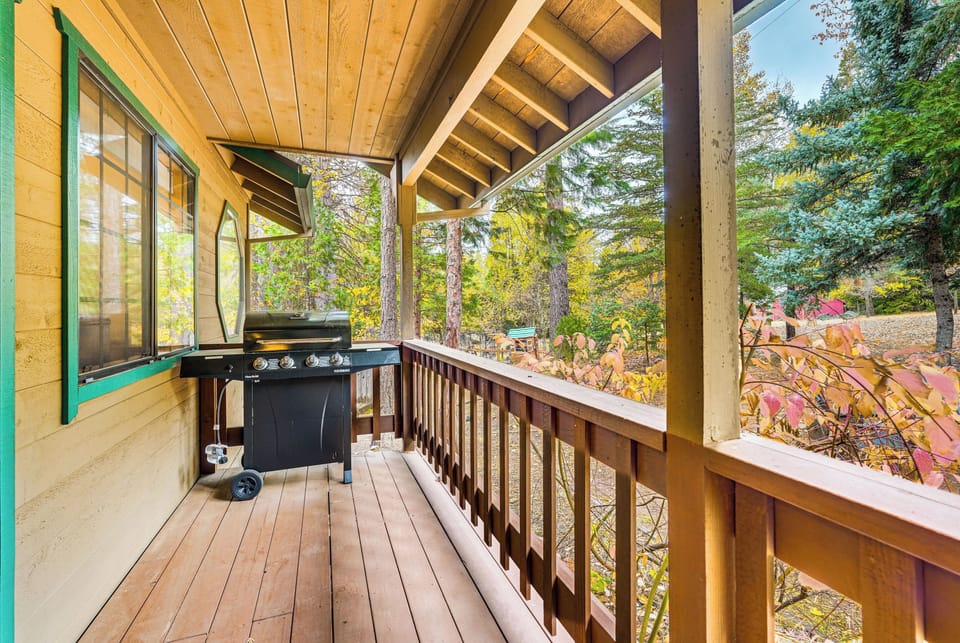 Deck | Gas Grill