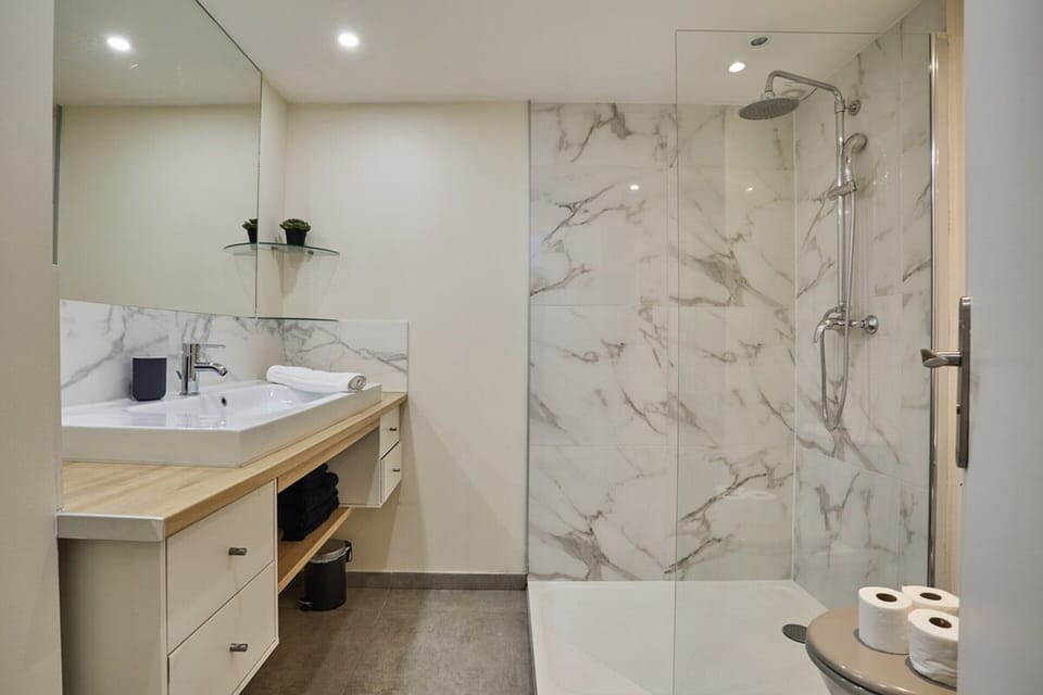Apartment | Bathroom | Hair dryer, soap, shampoo