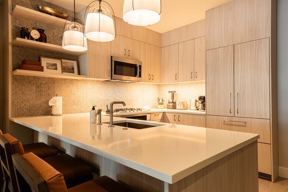 Stone counter and stainless appliances