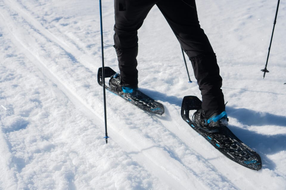 Winter activities include snowshoe hiking, marked pedestrian paths, and dog sledding.