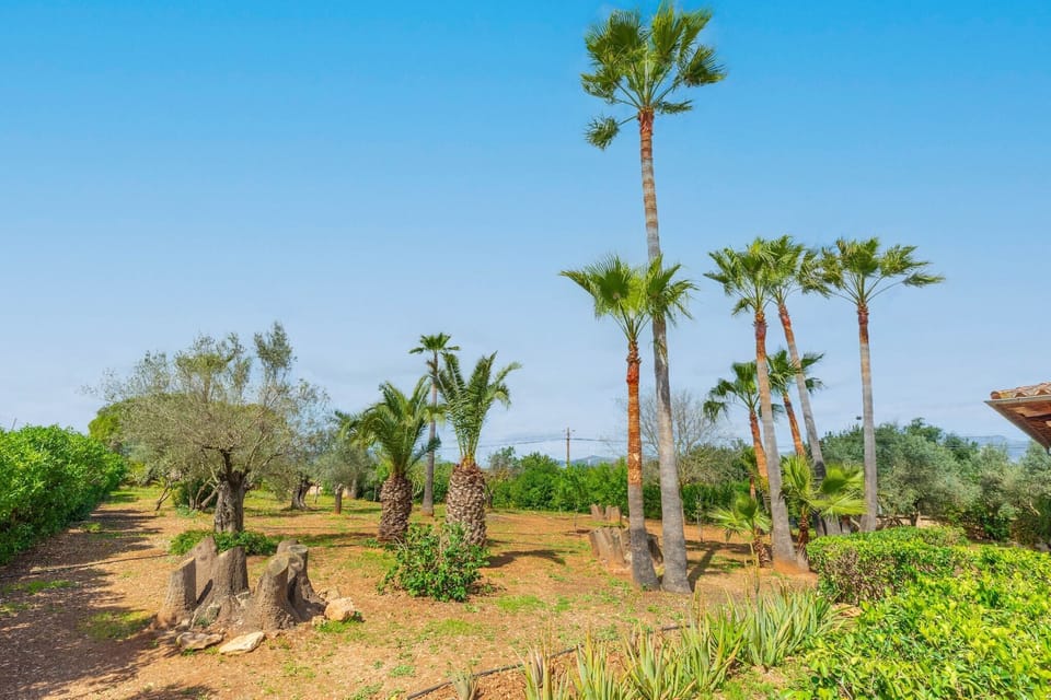 Immediate Surroundings [summer] (<1 km)