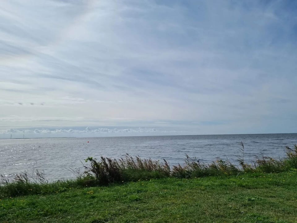 House | Water view