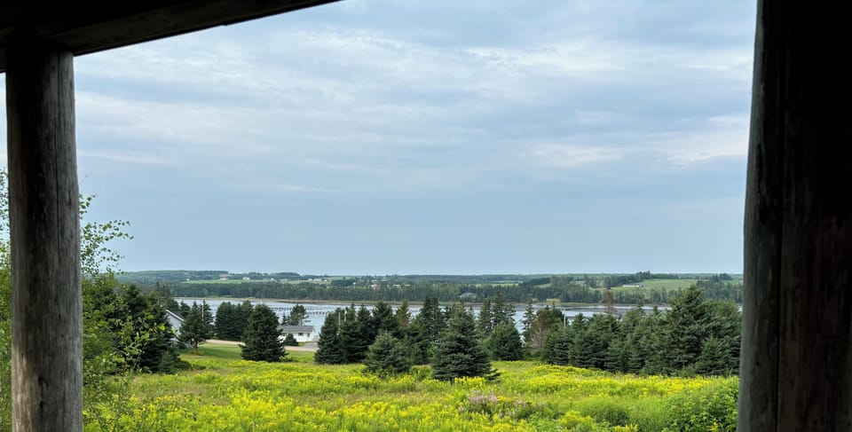 View from property