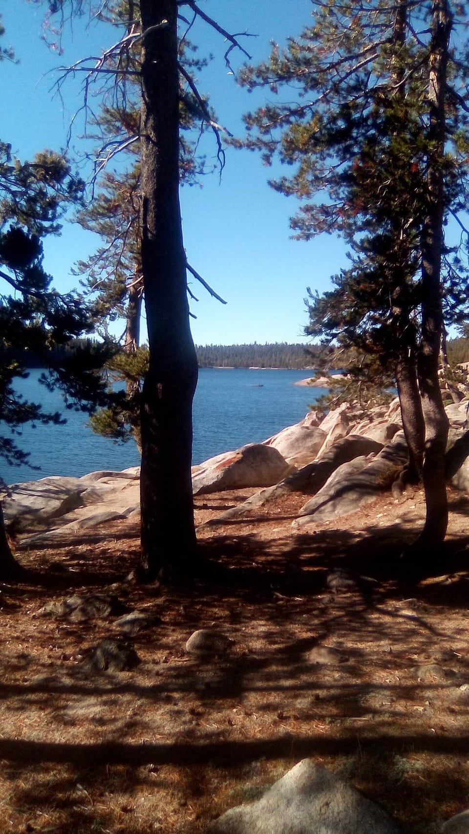 Alpine lake just a few miles up the Road from Bear Valley