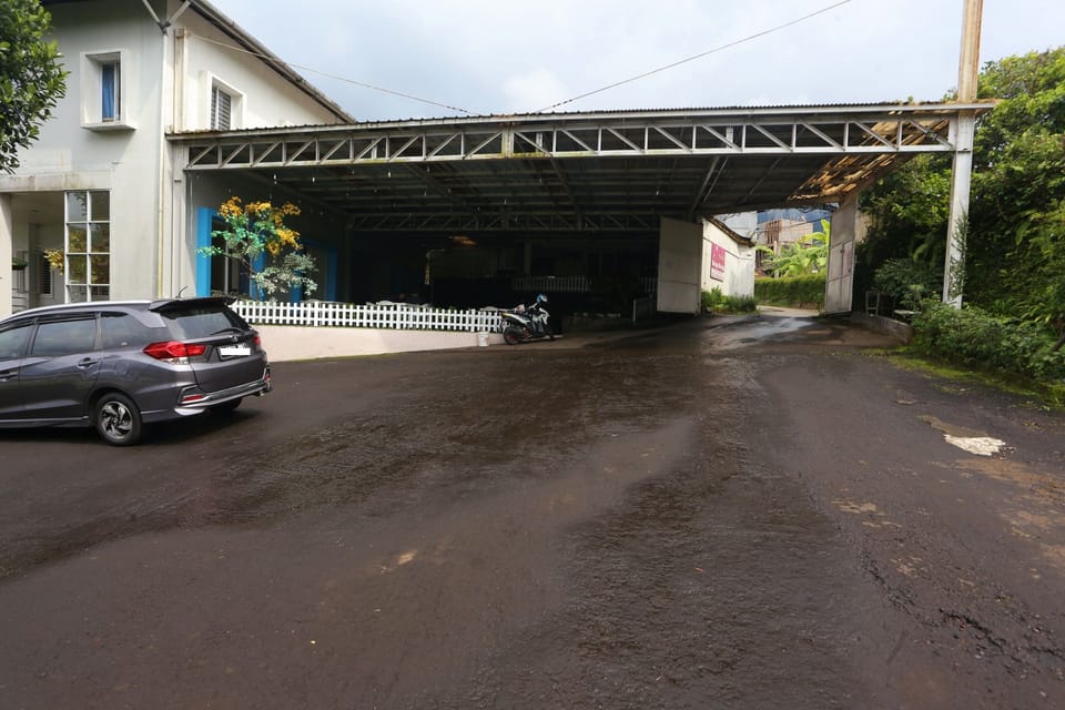 Free self parking