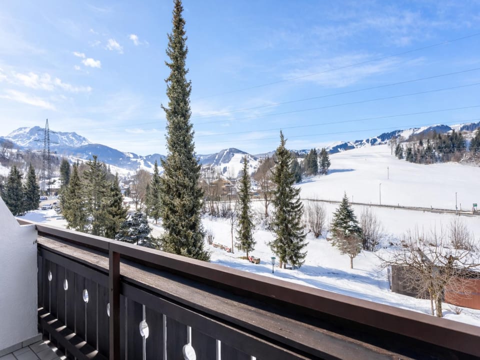 Patio / Balcony