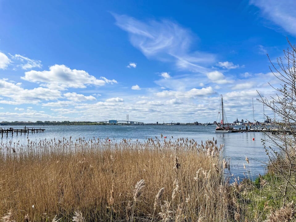 Cloud, Water, Sky, Plant, Water Resources, Ecoregion, Natural Landscape, Lake, Tree, Coastal And Oceanic Landforms
