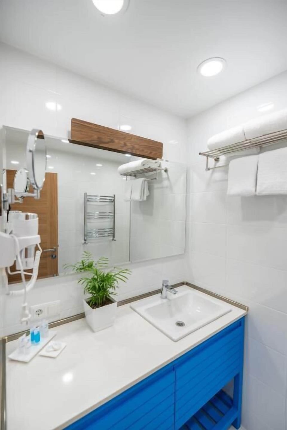 Deluxe Double Room, Balcony, Partial Sea View | Bathroom | Shower, free toiletries, hair dryer, towels