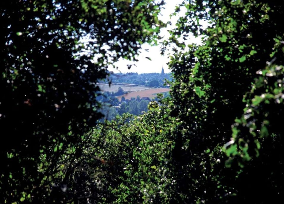 Cottage | View from property