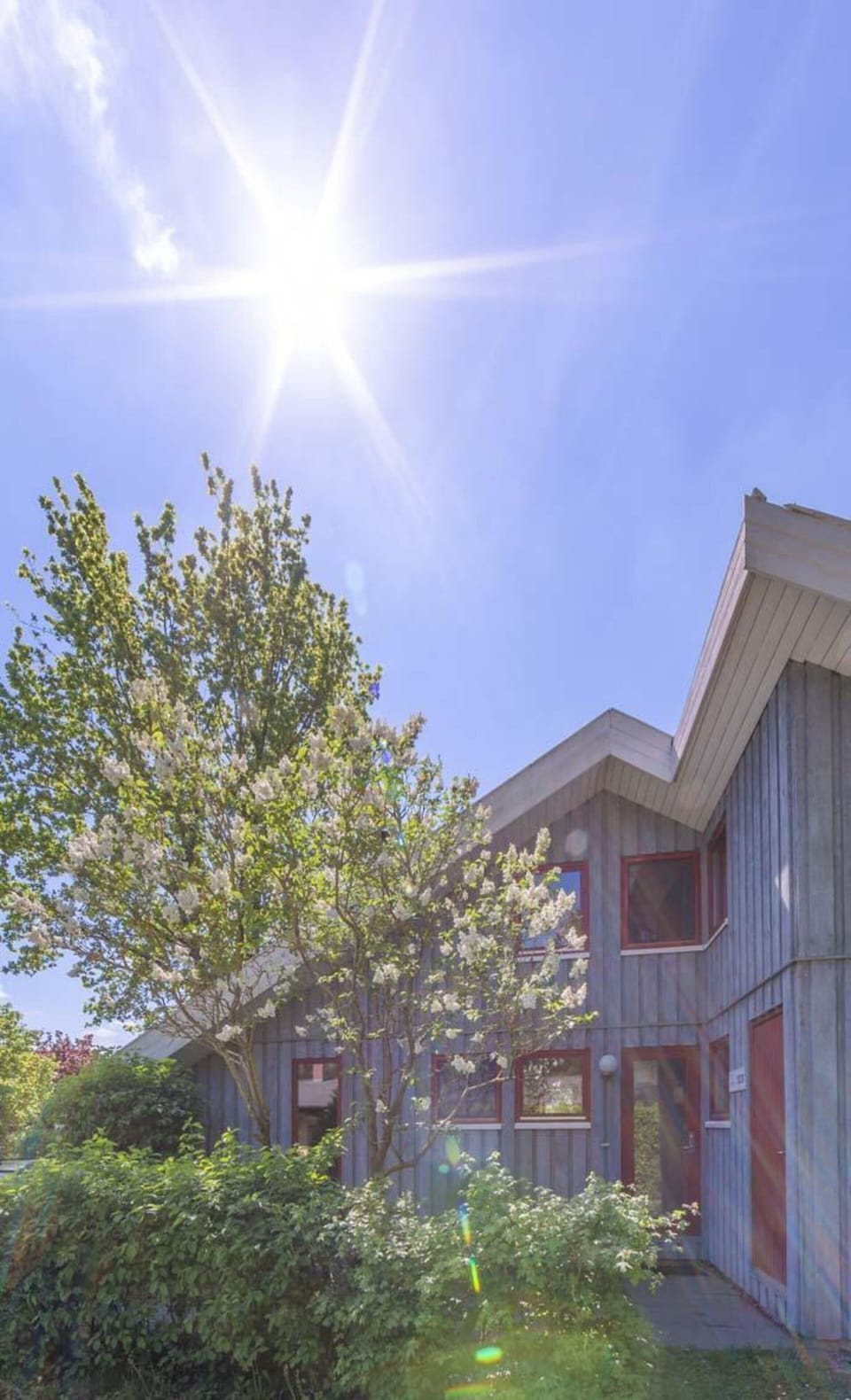 House | View from property