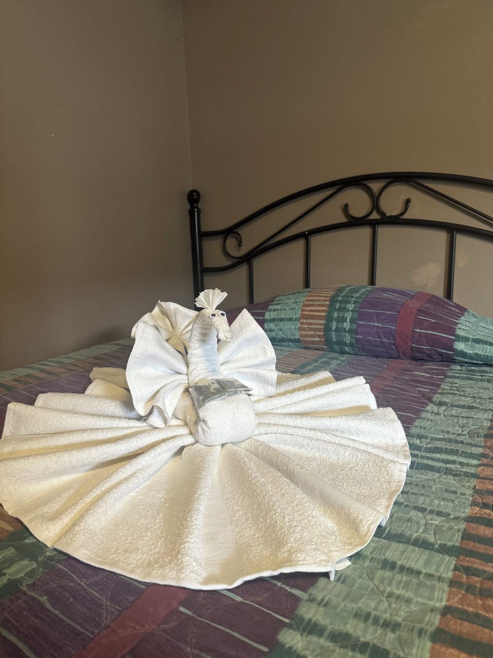 Comfort Single Room | Free WiFi