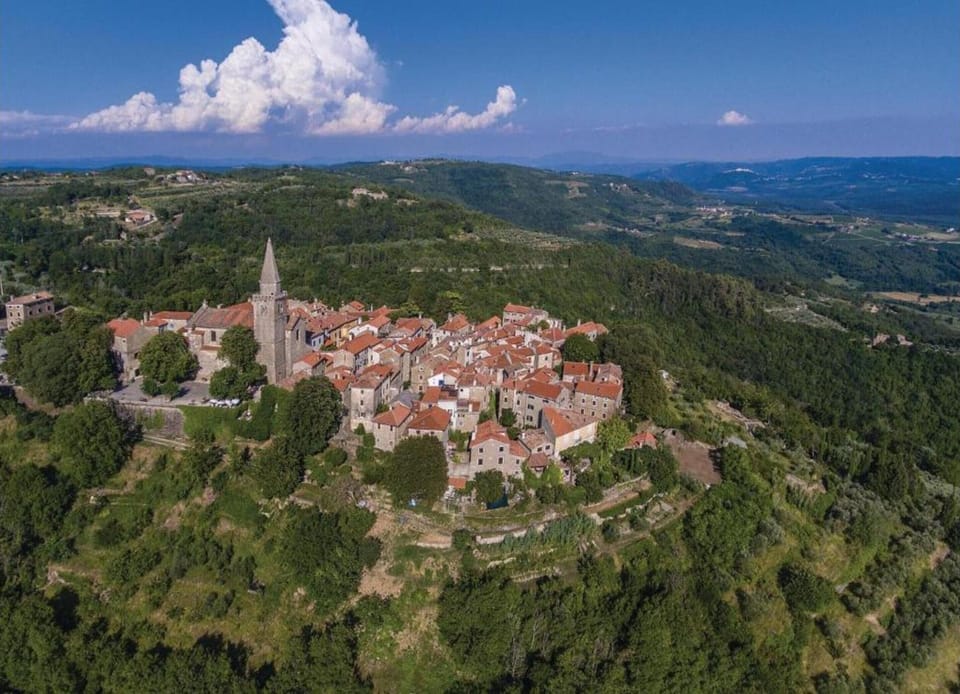 Villa | Aerial view