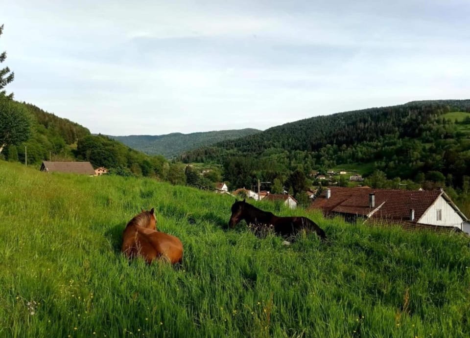 Chalet | View from property