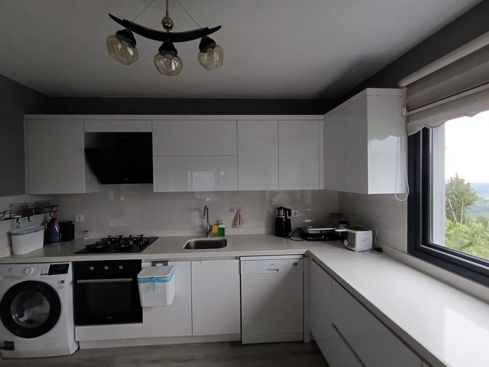 Villa, River View, Mountainside | Private kitchen | Paper towels