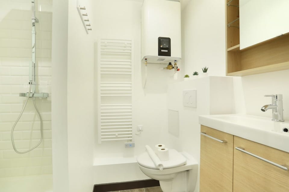 Apartment | Bathroom | Hair dryer, soap, shampoo
