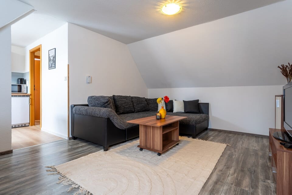 Apartment | Living room | Fireplace, DVD player