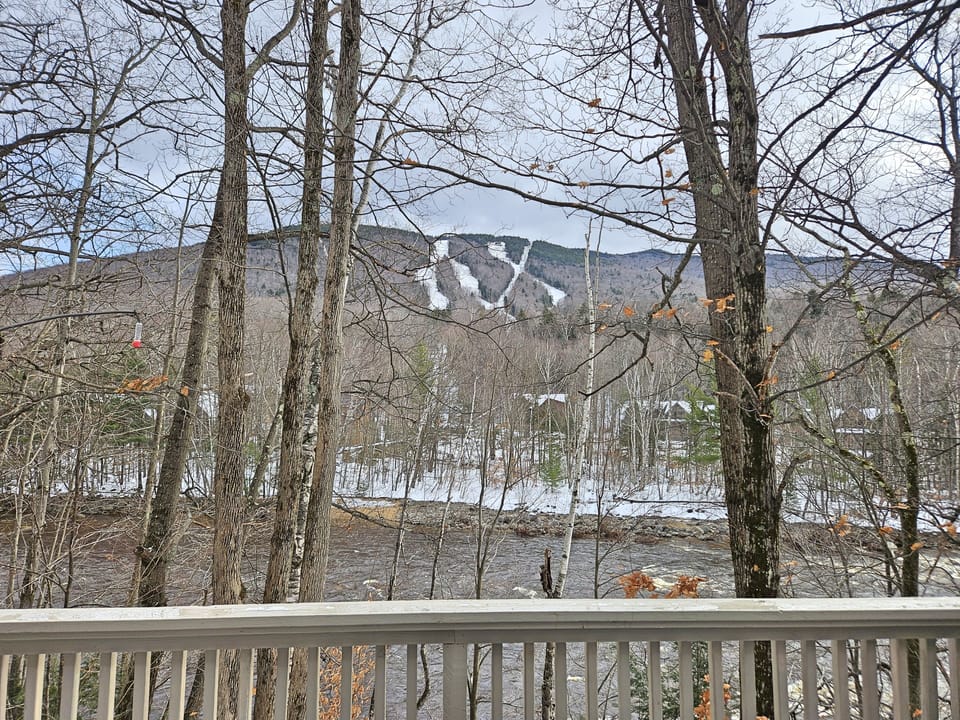 View from deck