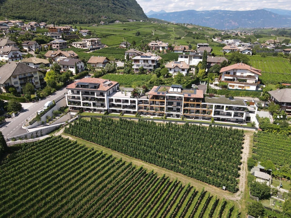 The house amid the vineyards