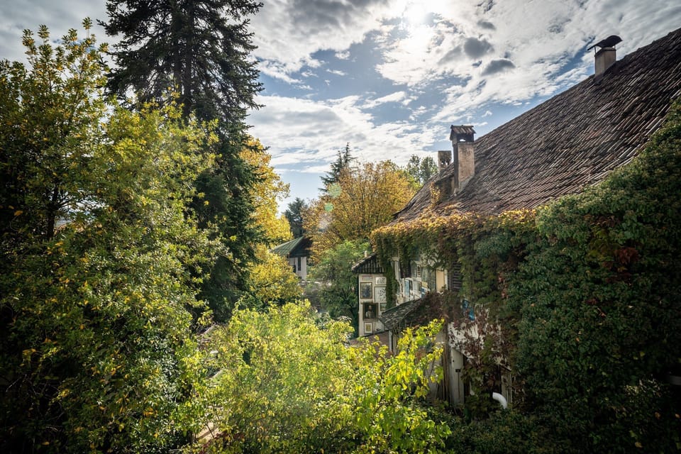 The house among the greenery