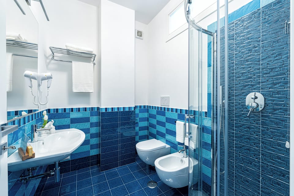 Shower, free toiletries, hair dryer, bidet