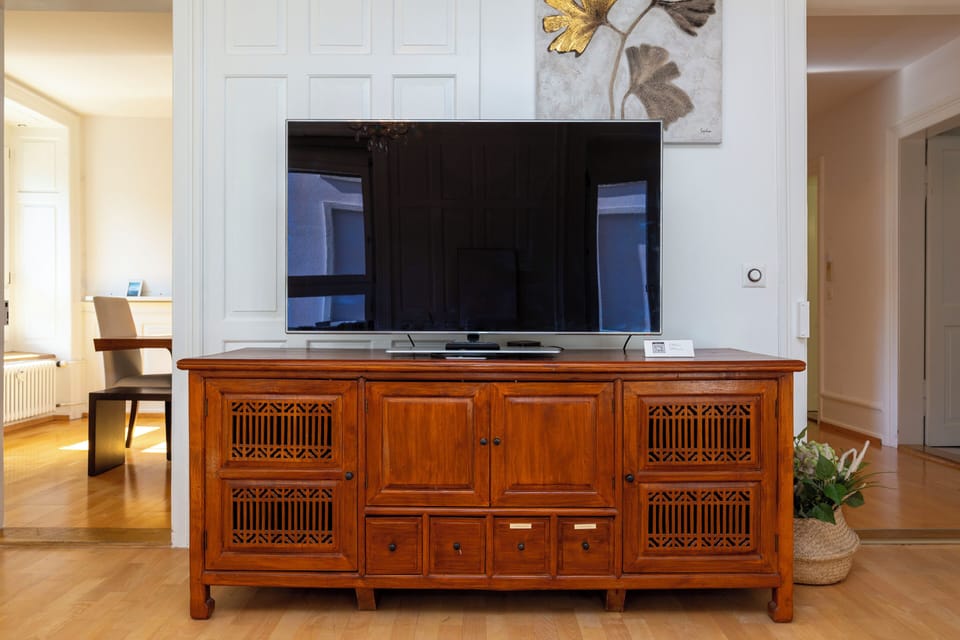 Television