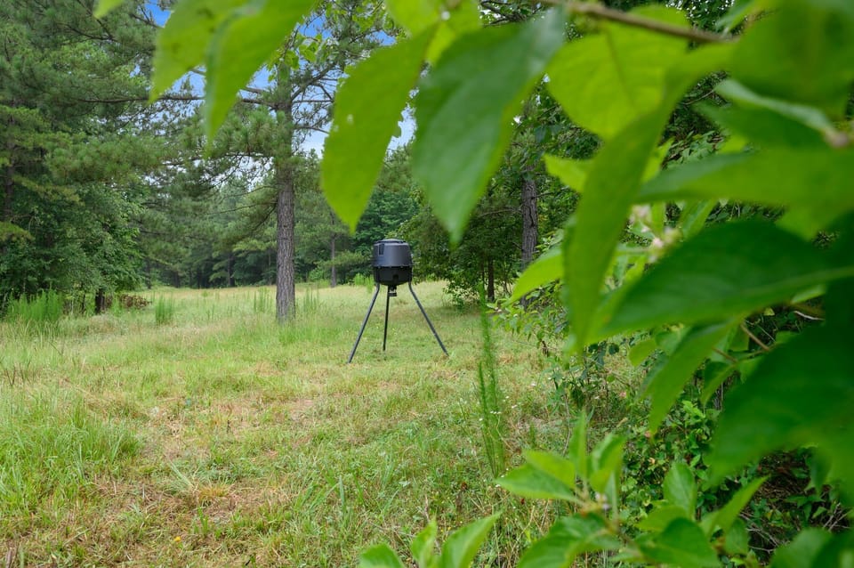 Deer Feeder