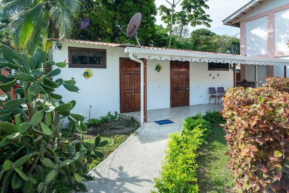 Your home away from home in Costa Rica, surrounded by lush greenery and the vibrant energy of the tropics.