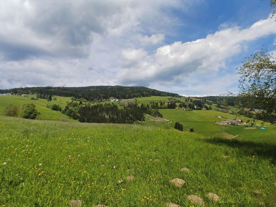 Region [summer] (>5 km)