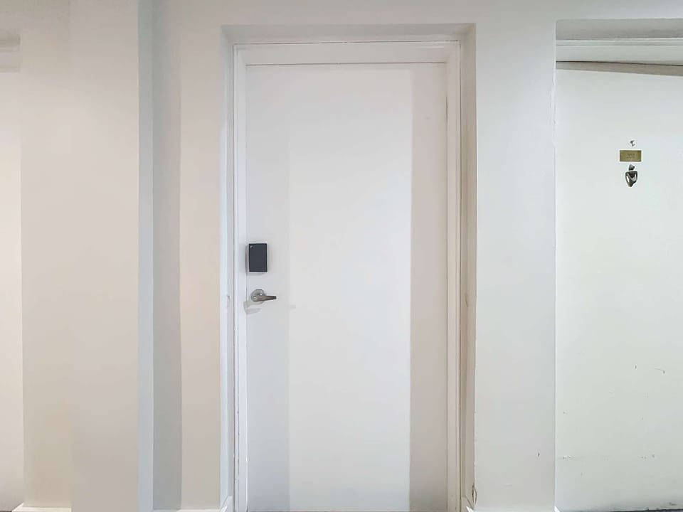 Access door