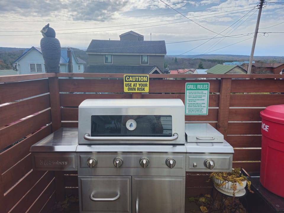 gas grill rules/safety signs/PLEASE CLEAN AFTER USING, COOK WELL AND ENJOY!