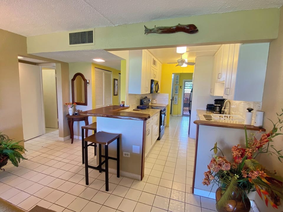 Kitchen to living room