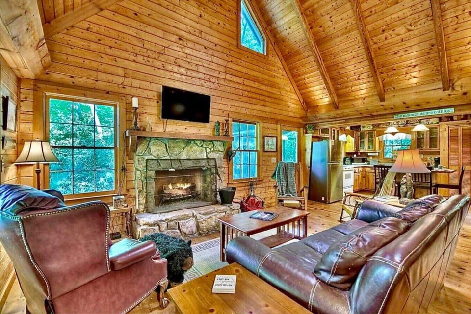 living area, fireplace, smart tv