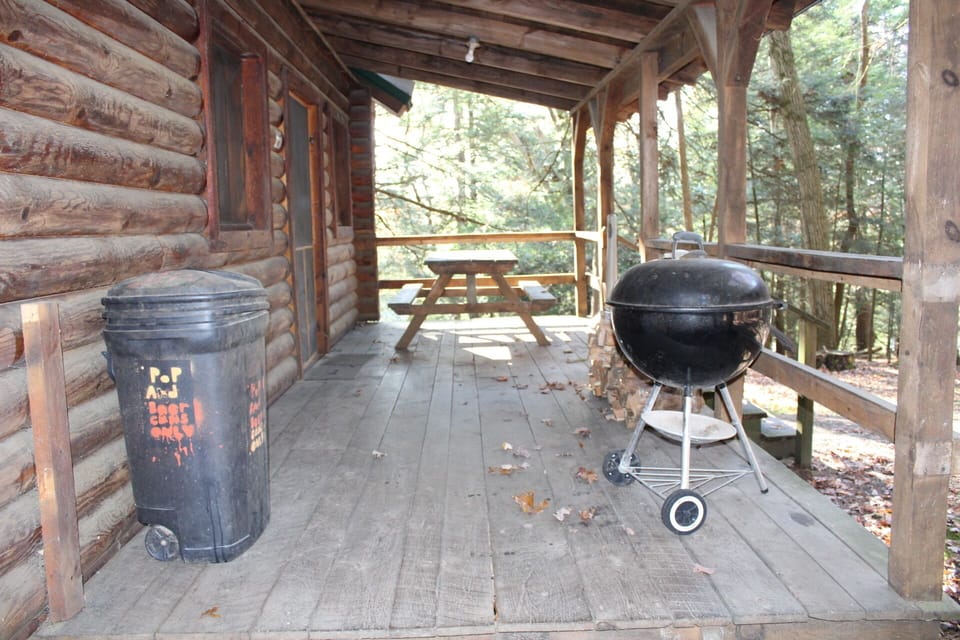 Back Porch with Grill and Picnic Table