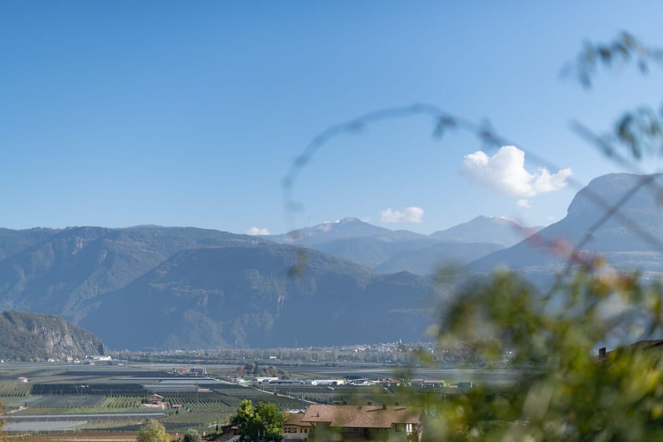 View across vineyards and valley