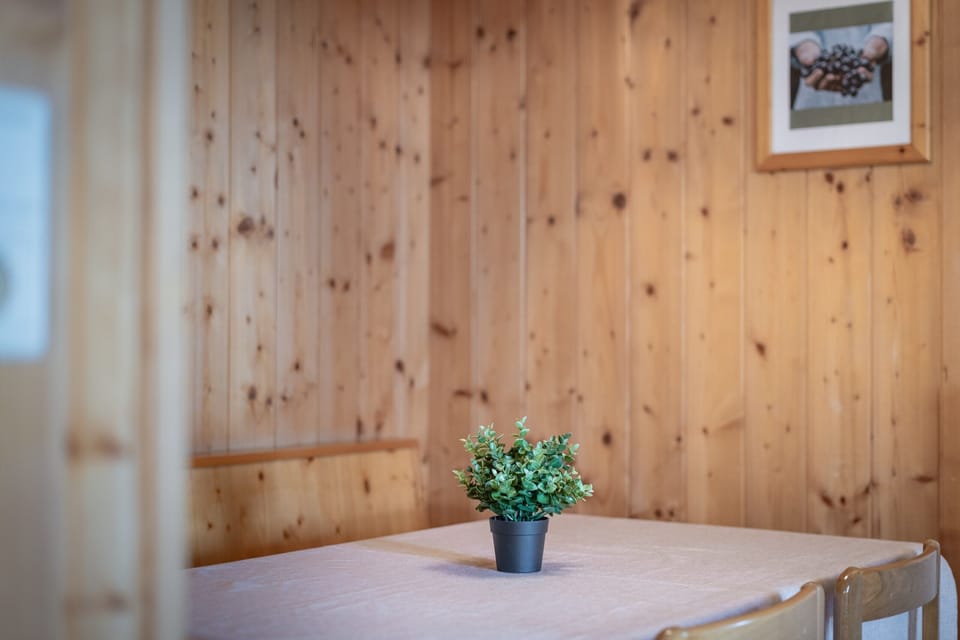 Dining beneath the wooden ceiling