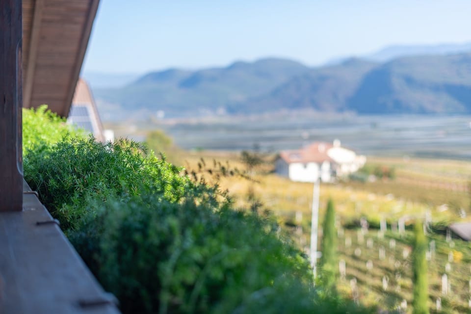 The setting above the Adige valley