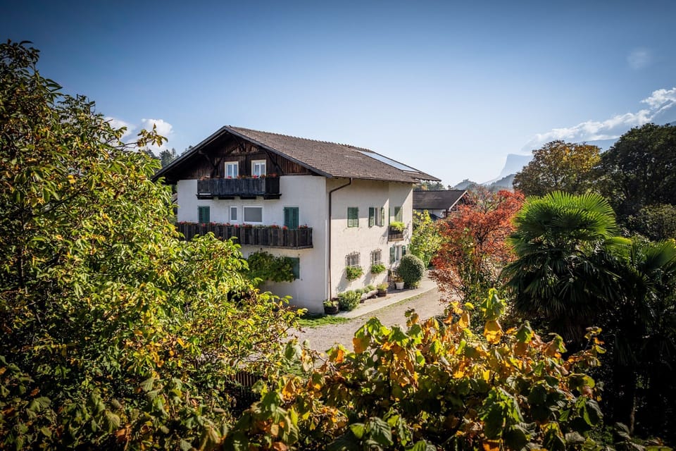 Haus Edith above the valley