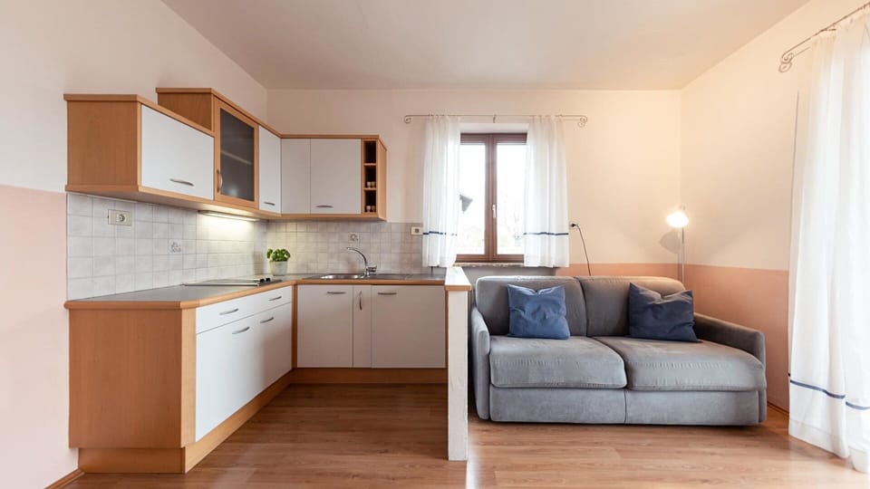 Living area with kitchen and dining
