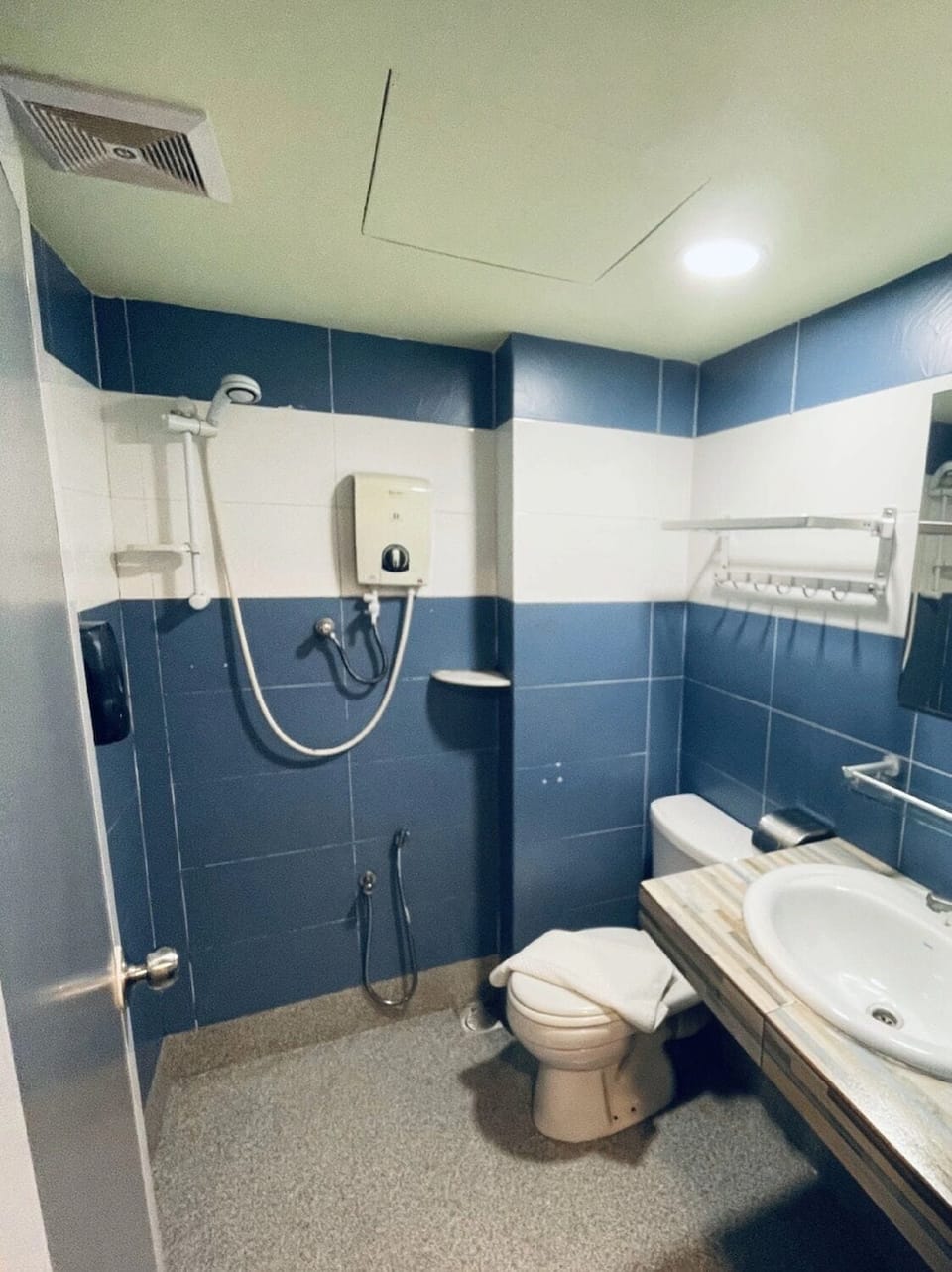 Rainfall showerhead, hair dryer, bidet, towels
