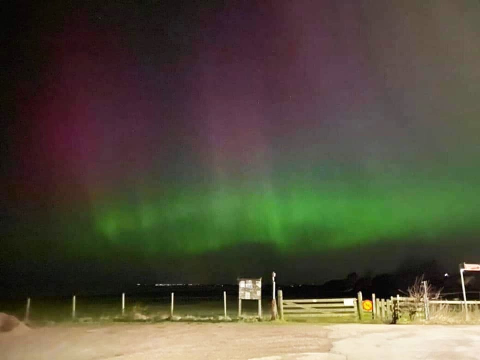 Miscellaneous