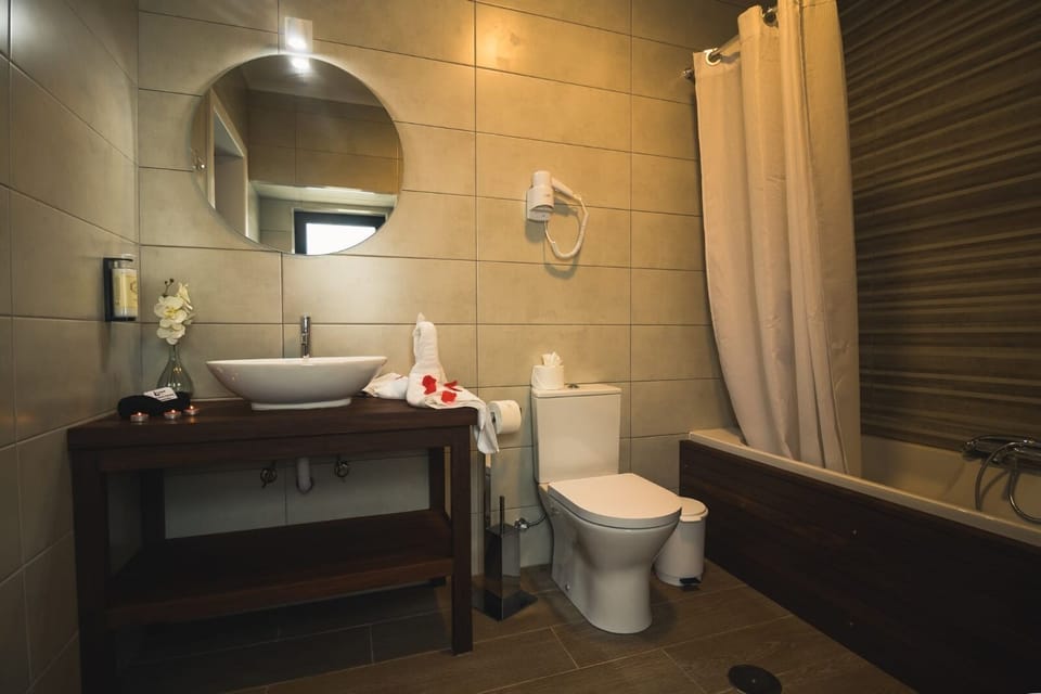Hair dryer, towels, shampoo, toilet paper