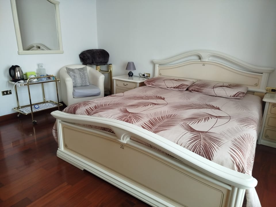 Classic Room, City View | Down comforters, free WiFi, bed sheets