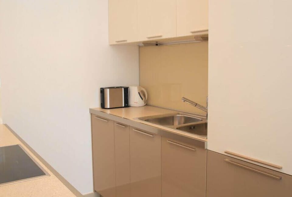 Deluxe Apartment, City View | Private kitchen | Full-size fridge, microwave, oven, stovetop