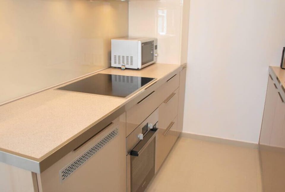 Deluxe Apartment, City View | Private kitchen | Full-size fridge, microwave, oven, stovetop